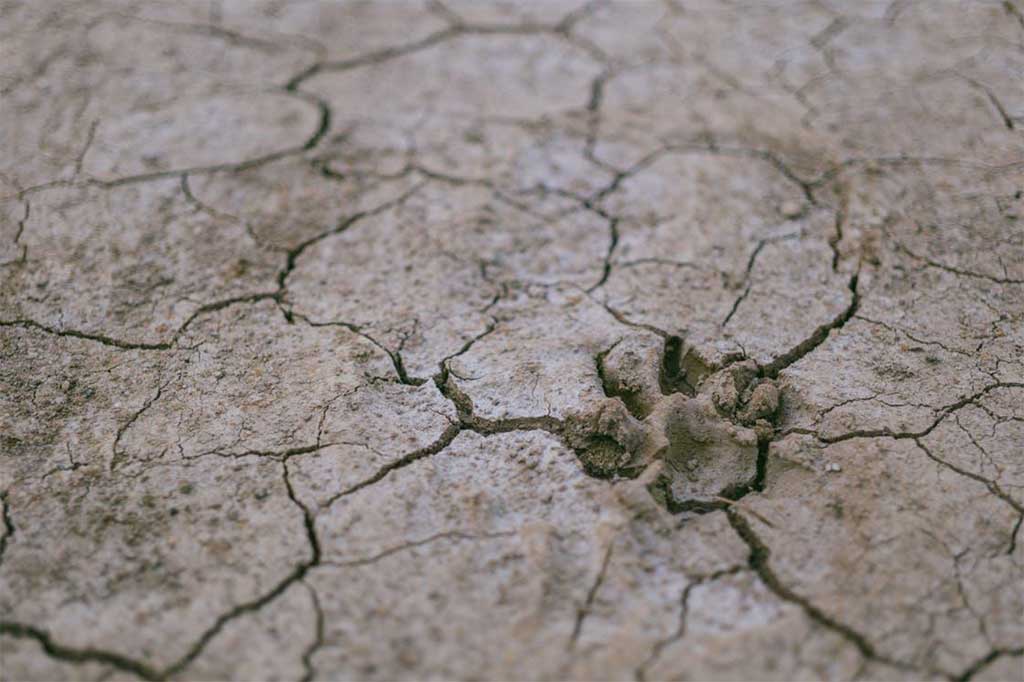 Guía para Triunfar en el Speaking del FCE (B2) de Cambridge. PART 2 PHOTO B