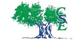 CSE Murcia Estudios - Academia de Inglés en Fuente Álamo de Murcia